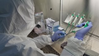  53/54 mẫu xét nghiệm liên quan đến ca nhiễm Covid-19 người Nhật đều cho kết quả âm tính