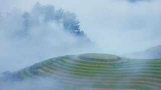 Đà Lạt cũng có ruộng bậc thang, bạn biết không?