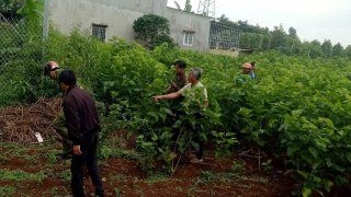 Lâm Đồng: 3 giờ truy nóng, bắt nghi phạm nghiện ma túy giết người phụ nữ bại liệt cướp tài sản