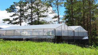 Điều tra vụ phá rừng lấn chiếm đất lâm nghiệp ở Đà Lạt