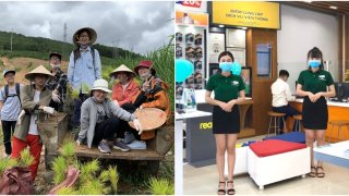 Hoàng Hà Mobile trồng 100 cây thông cho dự án Xanh Lại Đà Lạt Ơi!