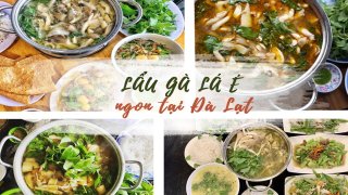Lẩu gà lá é Đà Lạt chưa bao giờ ngừng 'hot' với các tín đồ sành ăn