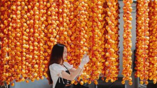 Khám phá vườn hồng treo gió Đà Lạt