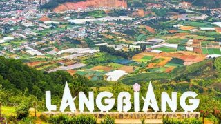 LangBiang Đà Lạt có gì 'hot' mà khiến ai cũng mê mẩn