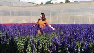 Làng hoa Vạn Thành - một trong 3 làng hoa lâu đời nhất thành phố Đà Lạt