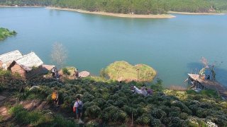 Review phim trường Happy Hill Đà Lạt mới nhất 2020 đẹp 'hút hồn'