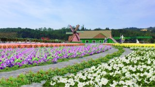 Fresh Garden Đà Lạt - Vườn hoa châu Âu gây thương nhớ cho du khách