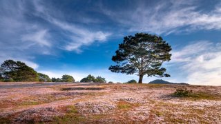 Check-in Đà Lạt tại top 10 địa điểm sống ảo đẹp thần sầu