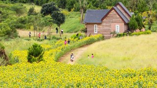 Ghé Đà Lạt Milk Farm trải nghiệm một ngày hóa nông dân đích thực