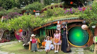 'Sống ảo' mỏi tay giữa một Đà Lạt bước ra từ cổ tích