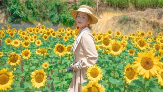 Mách nhỏ bí kíp "săn" hoa Đà Lạt theo mùa từ A đến Z