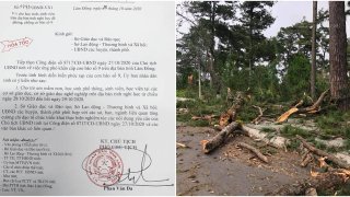 Lâm Đồng cho học sinh, sinh viên nghỉ học vì bão số 9