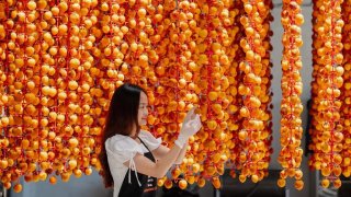 Cầu Đất Đà Lạt - Chốn ngoại ô yên bình nơi phố núi