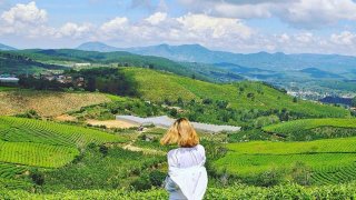 Review kinh nghiệm tham quan đồi chè Cầu Đất Đà Lạt mới nhất 2020