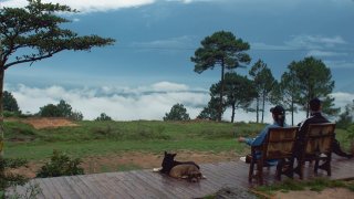 Những quán cafe đẹp ở Đà Lạt được giới trẻ check-in nhiều nhất 2020