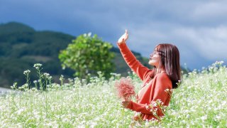 Những cánh đồng hoa Đà Lạt chưa bao giờ ngưng hot với hội 'sống ảo'