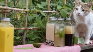 Cuối tuần check-in 4 quán đồ uống thủ công gây 'nghiện' tại Đà Lạt