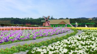 Khu Du Lịch Fresh Đà Lạt và những điều hấp dẫn dành cho tín đồ yêu hoa