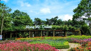 Đồi Mộng Mơ Đà Lạt có gì mà ai cũng muốn đến tham quan 1 lần