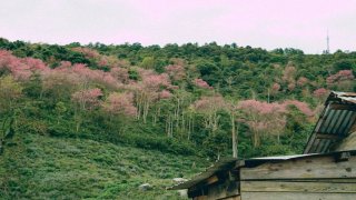 Hướng dẫn đường đi Mộng Đào Nguyên Đà Lạt chi tiết nhất 2021