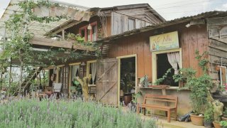 Lưu ngay các homestay Đà Lạt view đẹp giá rẻ tha hồ sống ảo