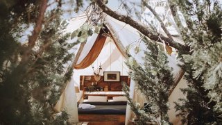 The Shelter Homestay Đà Lạt - Nơi ẩn nấp cho các tâm hồn mộng mơ