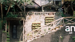 Ghé An cà phê Đà Lạt ngắm 5 gốc đào trĩu hoa dịp Xuân về