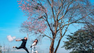 Bật mí 5 bí kíp để có chuyến đi Đà Lạt vui vẻ vào những ngày lễ Tết