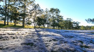 Mùa đông tại những cánh đồng cỏ tuyết Đà Lạt cực lãng mạn