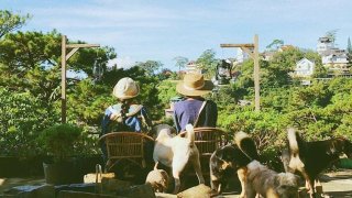 Nuôi 'mộng bình yên' tại 5 homestay bình dị ở Đà Lạt