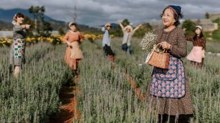 Gợi ý các địa điểm du lịch Đà Lạt mới - đẹp - hấp dẫn thu hút du khách 2021