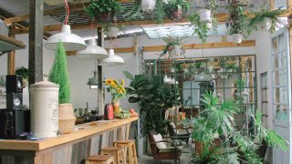 Những quán cafe Đà Lạt để lại nhiều ấn tượng trong lòng du khách