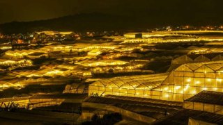 Ngắm trọn vẻ đẹp Thung lũng đèn Đà Lạt rực rỡ khi đêm về