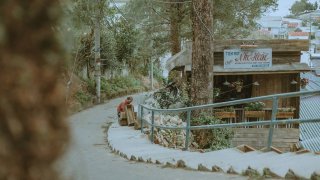 Đến Đà Lạt nhất định phải một lần đi qua những con dốc nổi tiếng này