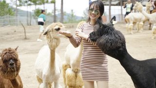 Kinh nghiệm tham quan sở thú Zoodoo Đà Lạt mới nhất 2021