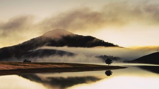 Kinh nghiệm check-in cung đường Suối Vàng Đà Lạt mới nhất 2021