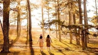 Tất tần tật kinh nghiệm du lịch Đà Lạt giá rẻ mới nhất 2021