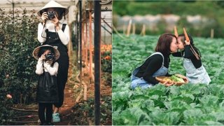 Với 3,5 triệu đồng, mẹ đơn thân dẫn theo con gái lên Đà Lạt đi tìm cuộc sống mới