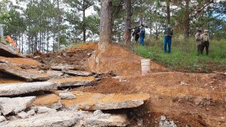 Con đường bê tông bỗng nhiên “mọc” trên đồi thông Đà Lạt