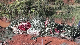 Hoa Đà Lạt lại đổ ngoài đồng - Nước mắt người trồng hoa mùa dịch