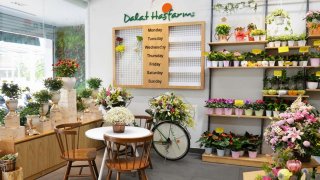 Đà Lạt Hasfarm - Công ty Hoa tươi số 1 Đông Nam Á