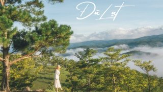 Đà Lạt có gì chơi vui - Review từ A đến Z các địa điểm nổi tiếng 2021