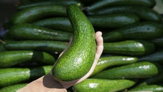 Các loại bơ Đà Lạt và những giá trị dinh dưỡng từ quả bơ