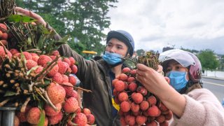 Lâm Đồng hỗ trợ nông dân Bắc Giang tiêu thụ 50 tấn vải thiều