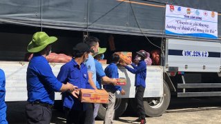 Chuyến xe nghĩa tình mang 75 tấn rau củ quả từ Lâm Đồng gửi tặng bà con TP.HCM