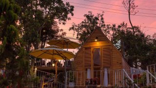 In The Pines Homestay Đà Lạt có thật sự đẹp và mơ mộng như lời đồn?