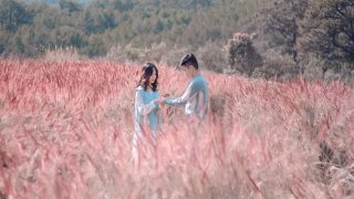 Gọi tên những loài cỏ ở Đà Lạt đứng vào là có ảnh check-in 'xịn xò'