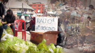 Thương lắm những túi rau 0đ hỗ trợ người dân mùa covid giữa trung tâm Đà Lạt