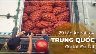 29 tấn khoai tây Trung Quốc bị phát hiện trên đường vào Đà Lạt