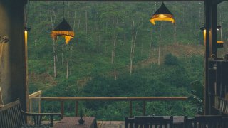 4 quán cà phê Đà Lạt view đẹp 'đi 1 ngày post ảnh cả năm'